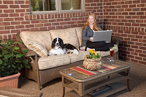 PetSafe YardMax Rechargeable In-Ground Fence Receiver Collar