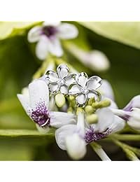 Plata de ley plumeria Stud CZ arete, 12 mm