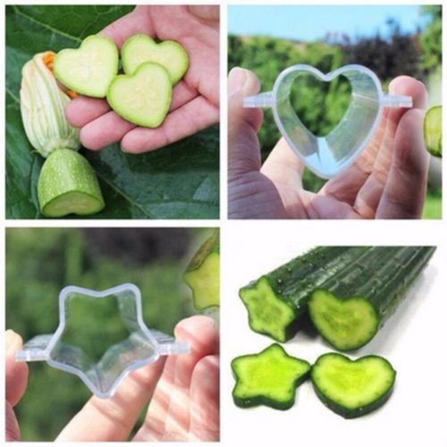 Fasterfish(TM) Cucumber Growth Molder Pentagonal Shape Plastic Transparent Cooking Kitchen Tool