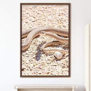 signwin Framed Canvas Wall Art Snake Contemporary Dramatic...