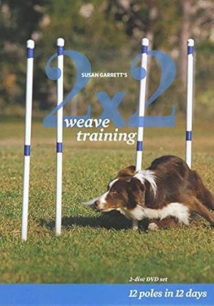 2x2 weave training