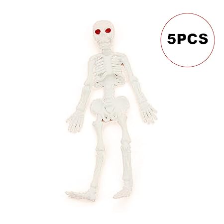 scheletro giocattolo