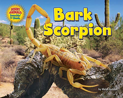 Bark Scorpion (Desert Animals Searchin' for Shade)