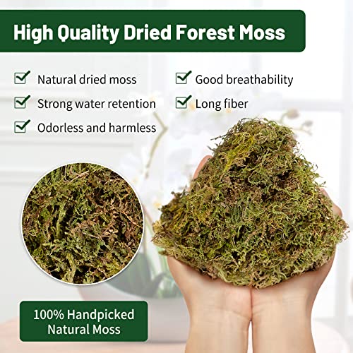 Dried Moss for Plants - 1.5qt/3.5oz Orchids Reptiles Live Moss Terrarium Natural Forest Potting Mix Gardening Soil Moisture Tortoise Hamster Gerbil Cage Bedding