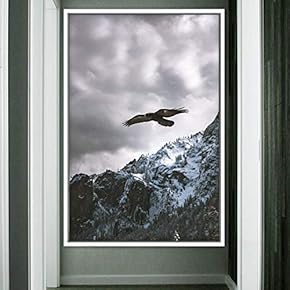 signwin Framed Canvas Wall Art Soaring Bird Beach...