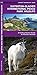 Waterton-Glacier International Peace Park Wildlife: A Folding Pocket Guide to Familiar Animals (Wildlife and Nature Identification)