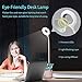 Desk Lamp Kids with Small Night Light LED USB Rechargeable Student Table Lamp Dimmable Eye-Caring Cute Study Computer Lamp for Office Dorm, Touch Control, Flexible Gooseneck, Phone & Pen Holder (Pink)