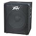Peavey PV 118 400 Watt 18 Inch Compact Vented Heavy Duty Pro Subwoofer (2 Pack)