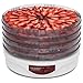 Electric Food Dehydrator by VICTORIO VKP1006