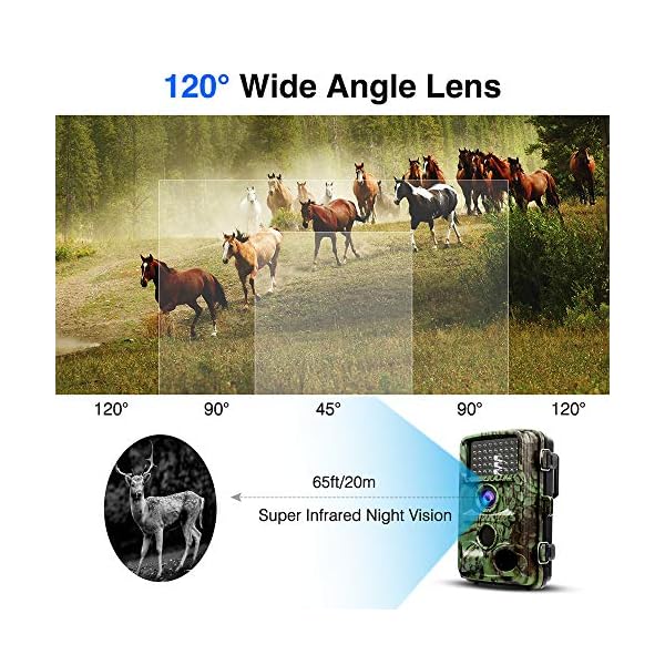 LXYDD Wildkamera 16MP 1080P Video Jagdkamera mit 120 ° Überwachungswinkel Bewegungserkennung in der Nacht mit Infrarot… – Bild 5