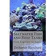 Saltwater Fish and Reef Tanks: From Beginner to Expert