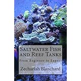 Saltwater Fish and Reef Tanks: From Beginner to Expert