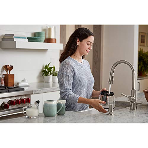 hansgrohe Joleena Kitchen Faucet 1Handle 16inch Tall Pull Down