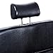 BarberPub Classic Hydraulic Barber Chair Salon Styling Beauty Spa Chair 2065 (Black)