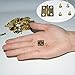Coobey 60 Pieces Mini Hinges for Cabinets Connectors with 240 Pieces 7mm Replacement Brass Hinge Screws