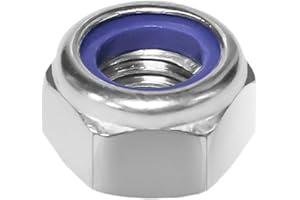 Hmevsafinect 100pcs Nylock Nylon Inserted Self Locking Nut, 304(A2-70) Stainless Steel (M6 x 1.0mm,100PCS)