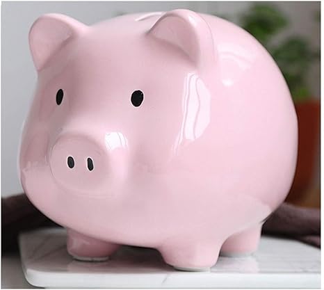pix Ceramic Pig Money Box money banks ceramic piggy bank sealed