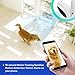 Wireless IP Home Surveillance Security Camera System with Motion Email Alert/Motion Detection for Indoor Security, Nursery, Pet Monitor, Remote Control (BLACK)