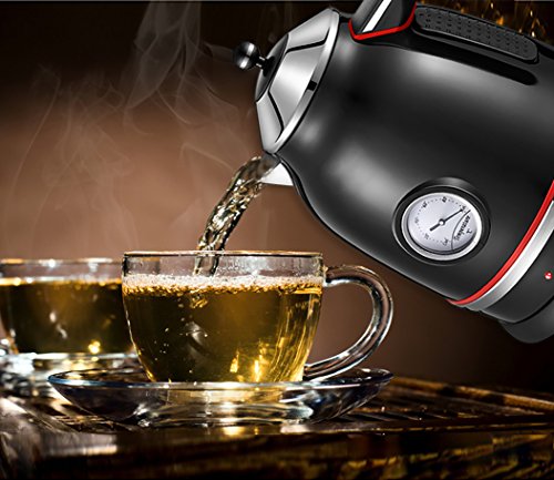 PowCube Stainless Steel 1.7L Electric Water Kettle with Temperature Display and 360 Degree Rotational Base