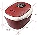 Carepeutic Ozone Waterfall Foot and Leg Spa Bath Massager, 20 Pound