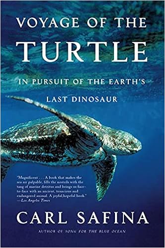 Amazon Com Voyage Of The Turtle In Pursuit Of The Earth S Last Dinosaur Safina Carl Libros
