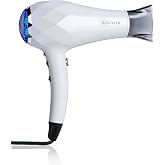 InStyler Turbo Ionic Blow Dryer