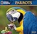 Parrots 2015