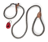 new tricks Slip Lead Training Leash with Clicker, 2-Piece, Black and White Rope with Leather