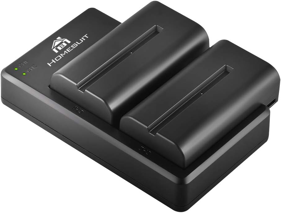 Homesuit NP-F550 Battery 2900mAh and Dual LED Charger Kit Compatible with Sony NP-F970 F960 F770 F750 F570 F550 F530 F330 CCD-SC55 TR516 TR716 TR818 TR910 TR917 TR940 (2-Pack)
