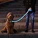 NiteyLeash - LED Glow in The Dark Pet Dog Leash (Blue)