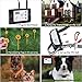 Blingbling Petsfun Electric Wireless Dog Fence System, Pet Containment System and Pets with Waterproof and Rechargeable Training Collar Receiver for 1 Dogs Boundary Container(with 20 Flags)thumb 3
