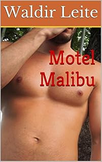 Livro Motel Malibu