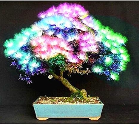 Amazon 10ピース盆栽アルビジア花の種と呼ばれるミモザ絹の木の種子珍しい庭鉢植え植物虹花ポットdiy植物ギフト 花 Amazon 10ピース盆栽アルビジア花の種と呼ばれるミモザ絹の木の種子珍しい庭鉢植え植物虹花ポットdiy植物ギフト 花