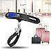 REIDEA Luggage Scale 110lbs Portable Suitcase Weight Scale for Travel, Household and Gift Black