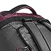 Eagle Creek Unisex Cargo Hauler Duffel 90 L, Concord/Asphalt