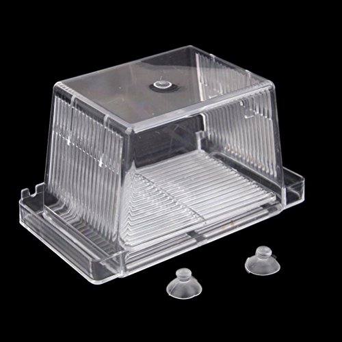 5 VORCOOL+Self+floating+Isolation+Incubator+Transparent