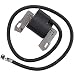 Dalom 398811 Ignition Coil Module for Briggs and Stratton 395492 395326 398265 7HP-16HP Horizontal Vertical Single Cylinder Engines