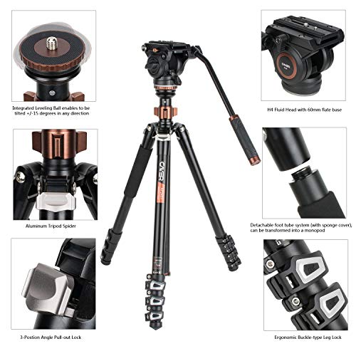 Cayer AF2451 Professional Video Camera Tripod 67 inches with Fluid Drag Head, 4-Section Compact Aluminimum DSLR Tripod Convertible to Monopod for DSLR Camera, Video Camcorder, Plus 1 Extra QR Plate