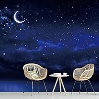 Wall Mural Stars and Moon in Night Sky Removable Self-Adhesive Wallpaper Wall Decoration for Bedroom Living Room - 66x96 inches