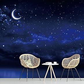 signwin Wall Mural Stars and Moon in Night...
