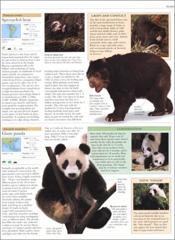 Animal: The Definitive Visual Guide to the World's Wildlife - Thumbnail 6