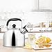 Whistling Tea Kettle Stainless Steel Teapot for Stove Top - Thin Base - Fast Boil - 3.7L/4Qt - by AMFOCUS