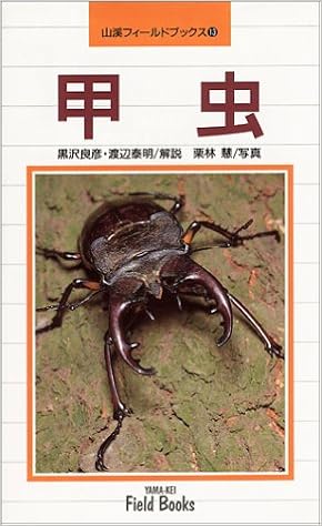 甲虫 山渓フィールドブックス Amazon Com Books