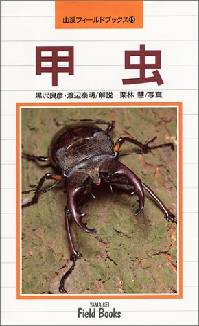 甲虫 山渓フィールドブックス Amazon Com Books
