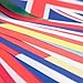 International String Flags Banners,100 Countries Flags World Flags Pennant Banner for Olympics,Festival,Grand Opening,Bar,Sports Clubs 82 Feet 8.2'' x 5.5'' KalaBear