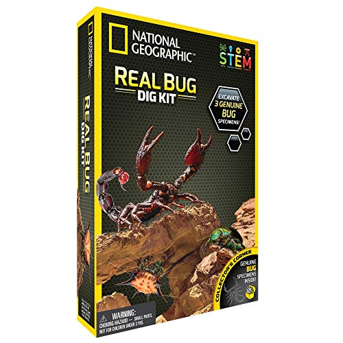 1 National+Geographic+Bug+Dig+Kit