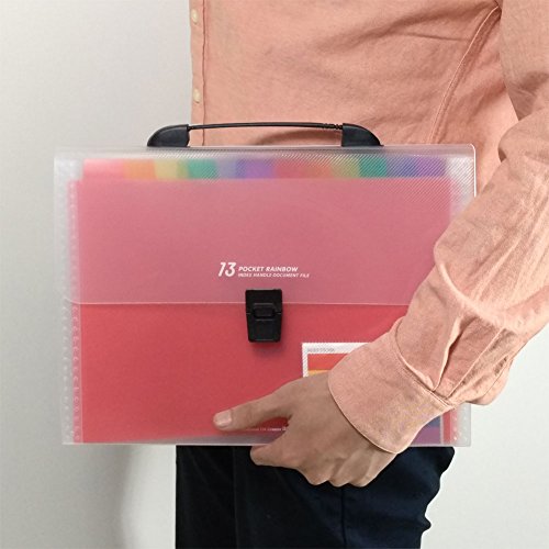 SummerZee Plastic Expanding Accordion Folders, Letter Size Portable Document Holder, A4 File