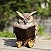 Ivy Home Schooling Garden Solar Resin Statuary Owl Statue Art Ornament Decor for Lawn Yard Patio