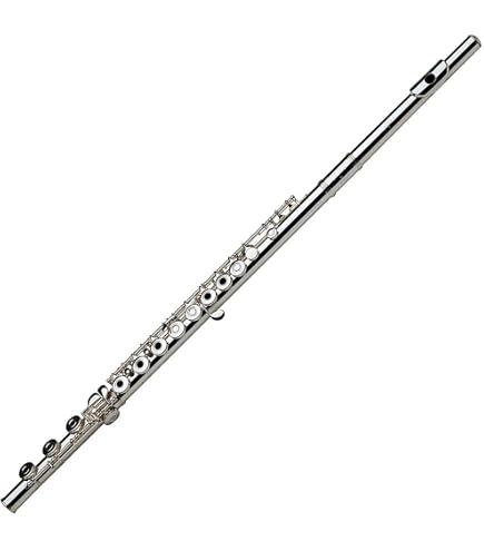 Amazon.com: Pearl Flutes 665RBE1RB Quantz Series Intermediate