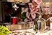 Farnsworth & Lloyd Red Stainless Steel Double Wall Espresso Cups, Small, Set of 4